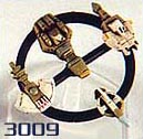 3009